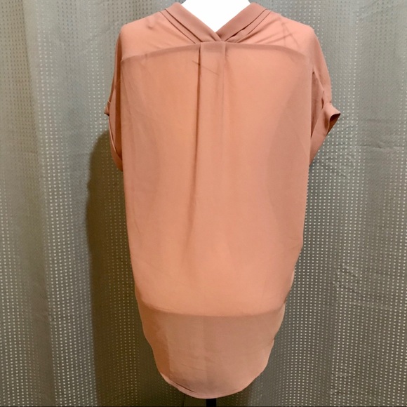 Dex Oversized Blush Dex Sheer Button Blouse - Picture 3 of 7